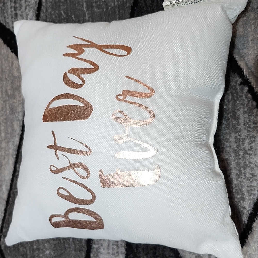 ROSE GOLD SHINE BEST DAY EVER DECORATIVE SQUARE THROW PILLOW 13"X13"